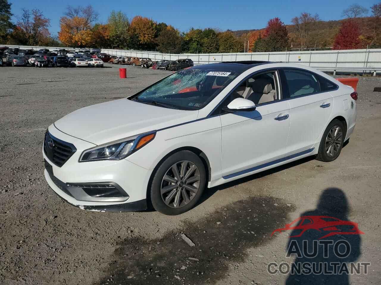 HYUNDAI SONATA 2016 - 5NPE34AF2GH344806