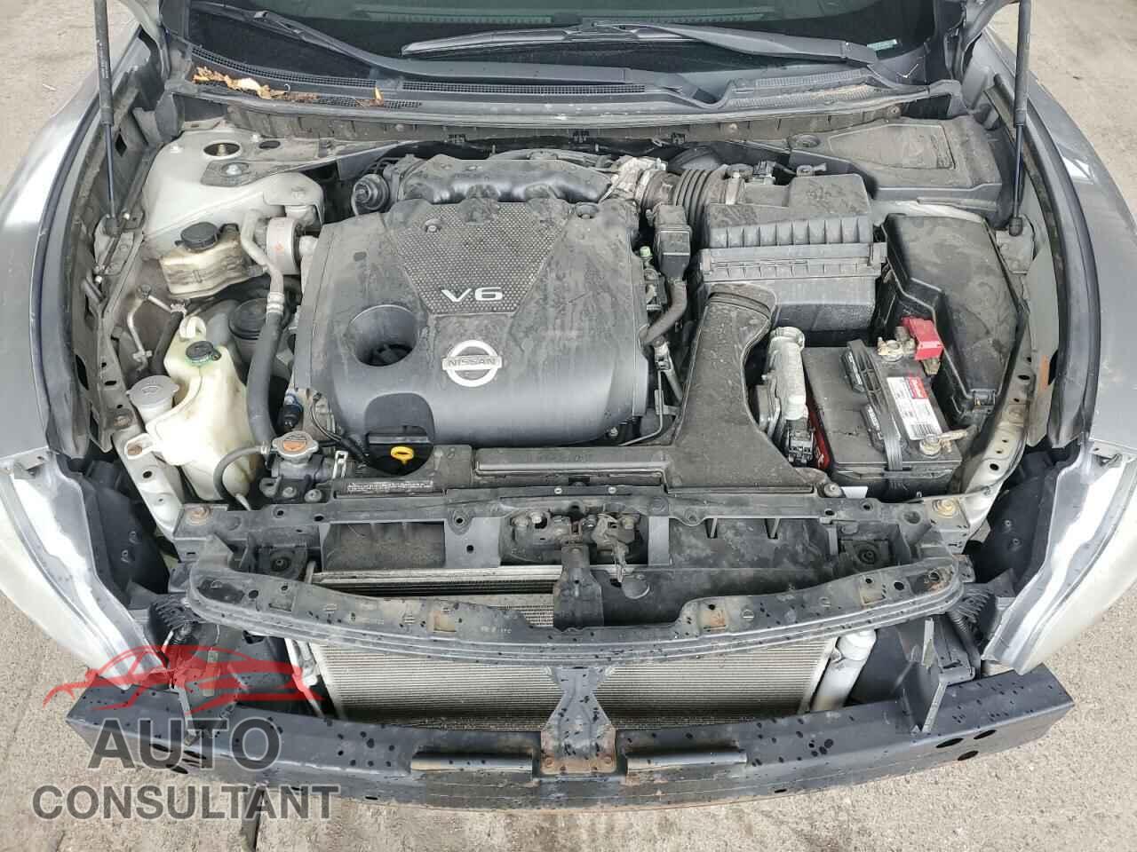 NISSAN MAXIMA 2009 - 1N4AA51E29C814015