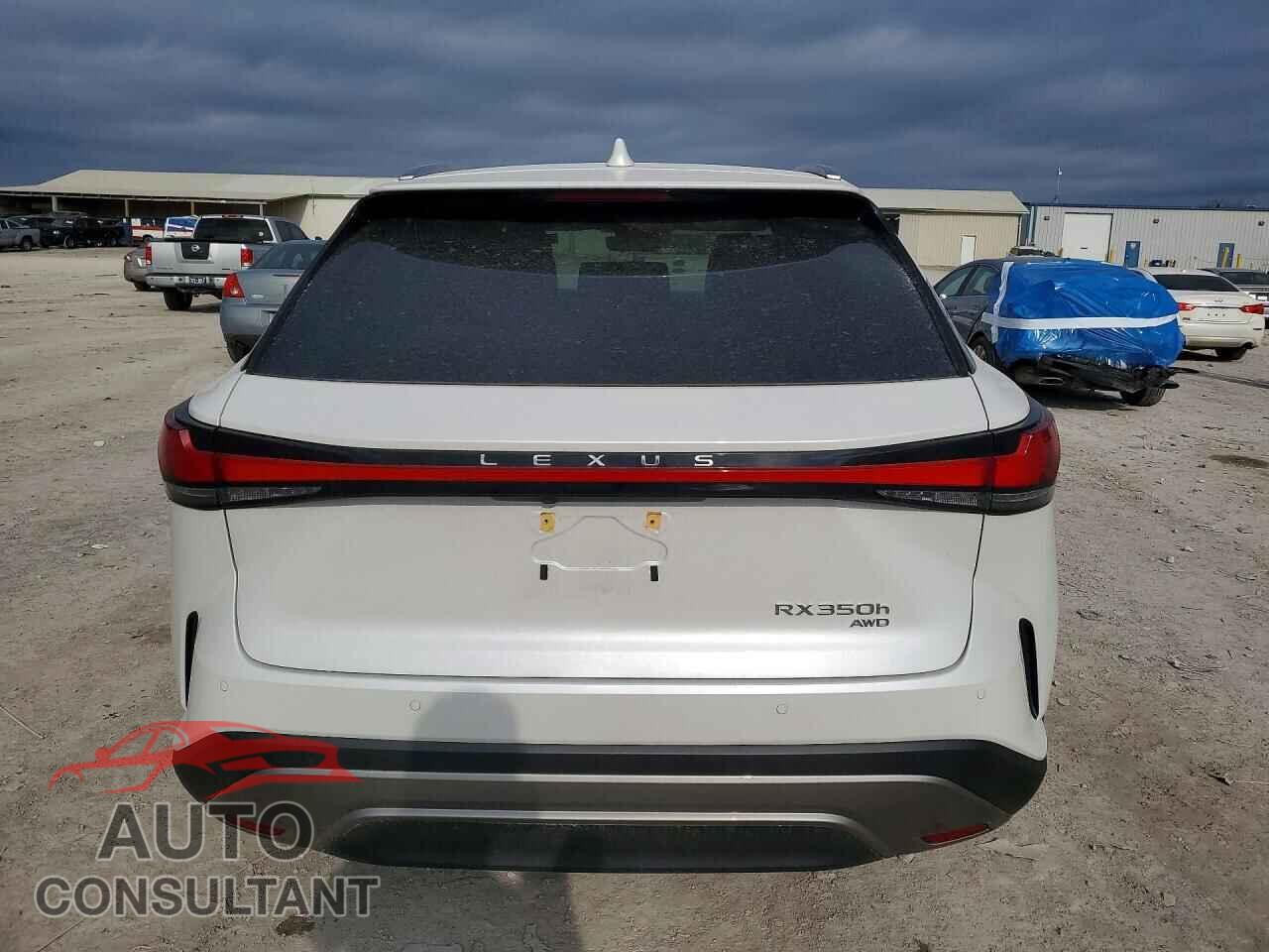 LEXUS UNKNOWN 2025 - 2T2BBMCA5SC093004