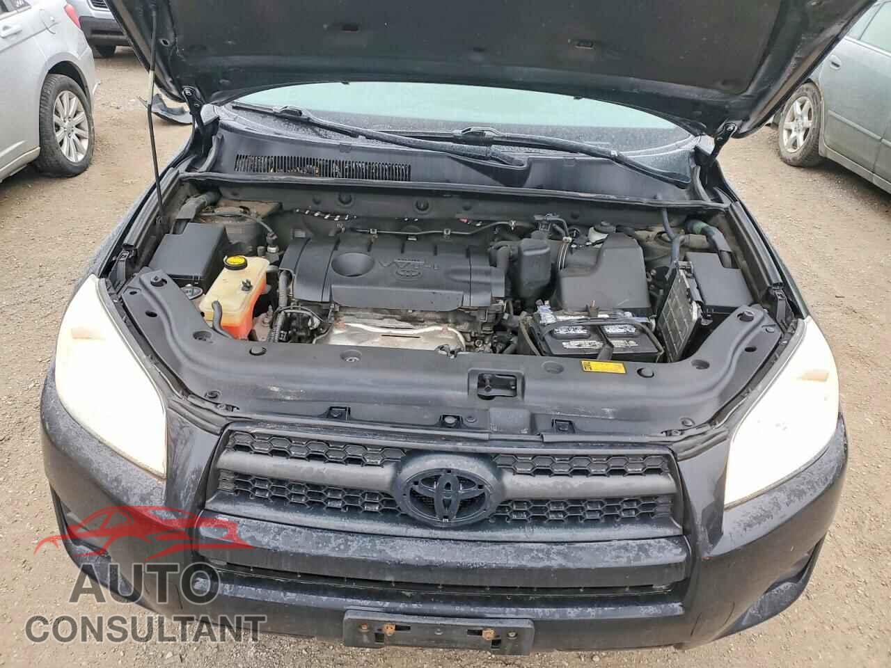 TOYOTA RAV4 2011 - 2T3BF4DV3BW135282