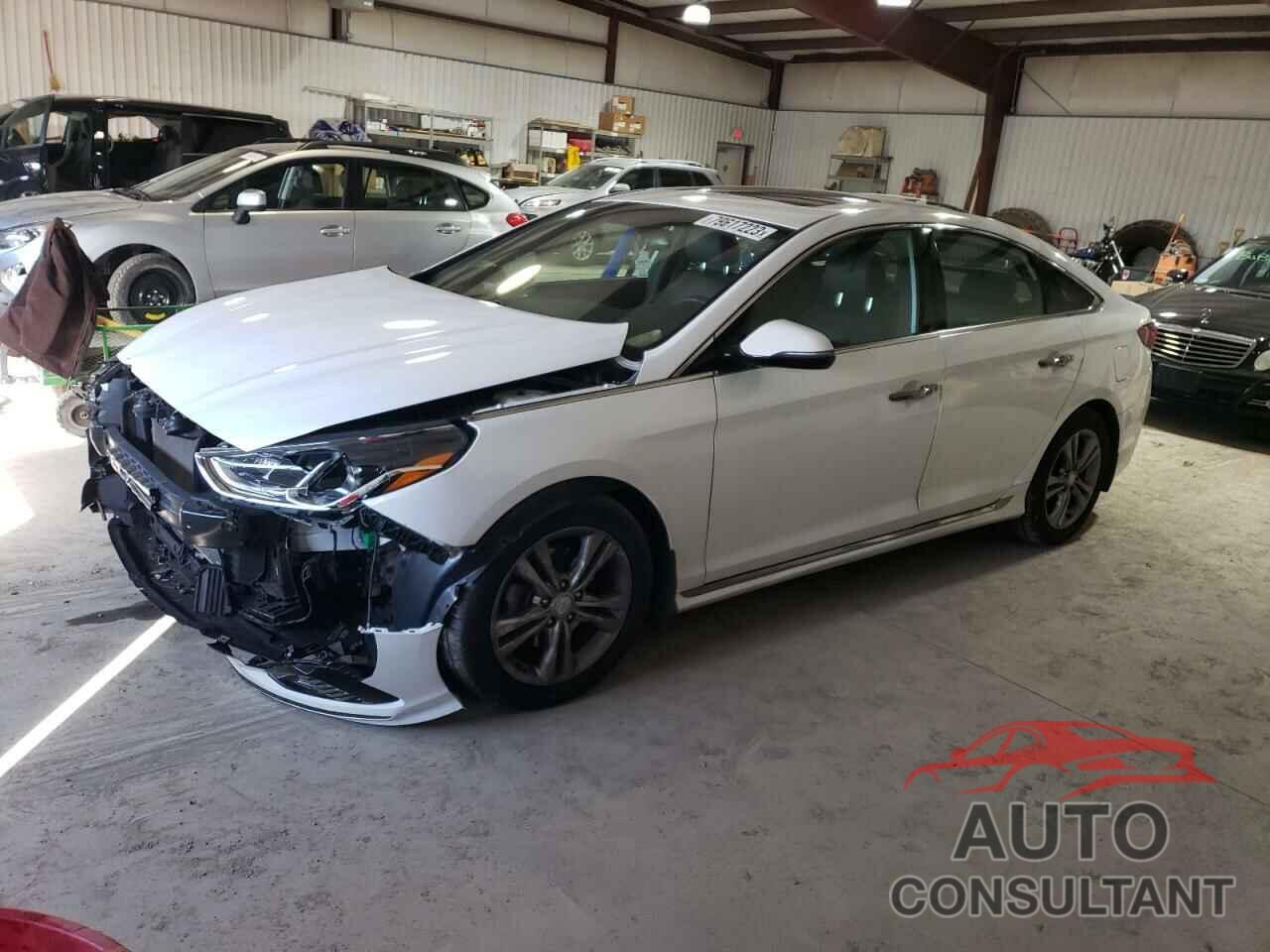 HYUNDAI SONATA 2019 - 5NPE34AF4KH731687