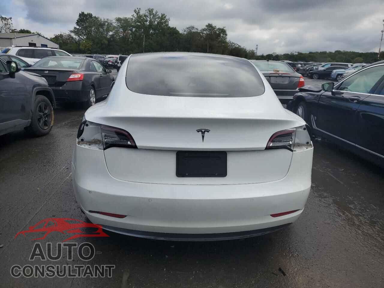 TESLA MODEL 3 2021 - 5YJ3E1EA3MF853683