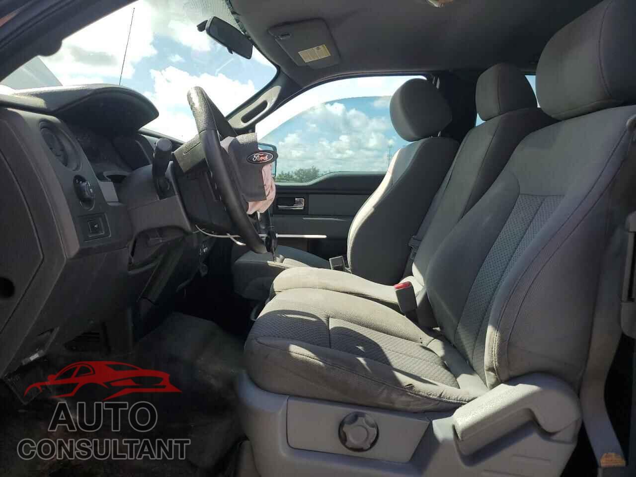 FORD F-150 2013 - 1FTEX1CMXDFD64130