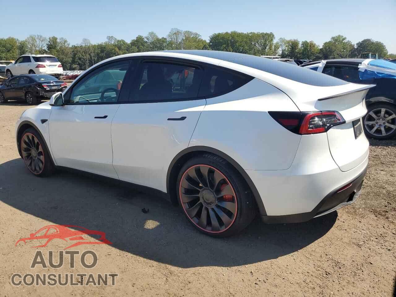 TESLA MODEL Y 2023 - 7SAYGDEFXPF712467