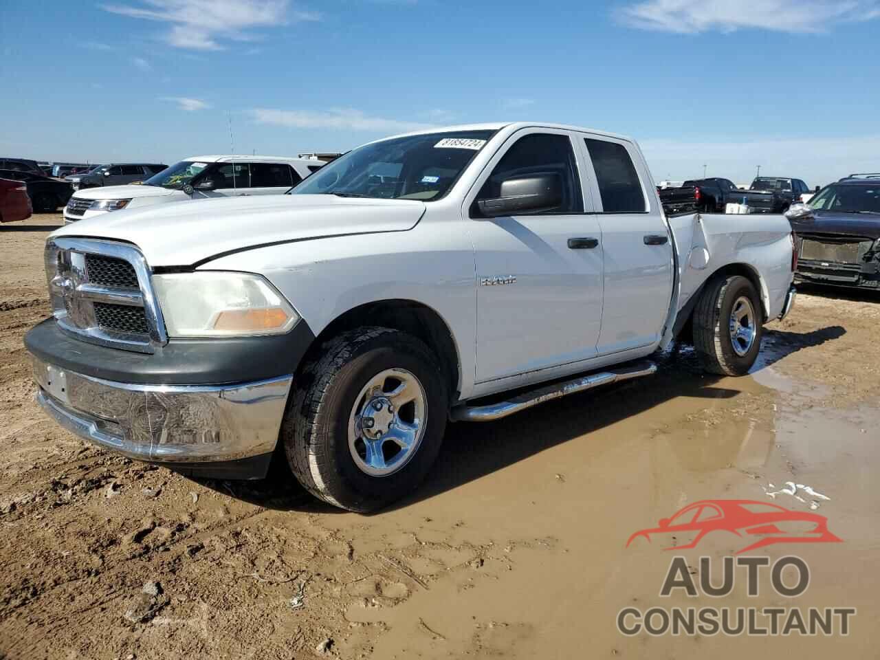 DODGE All Models 2010 - 1D7RB1GK0AS179831