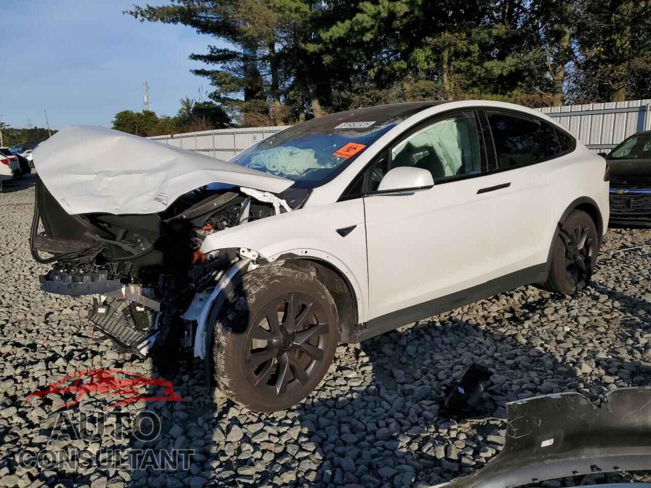 TESLA MODEL X 2024 - 7SAXCBE54RF459703