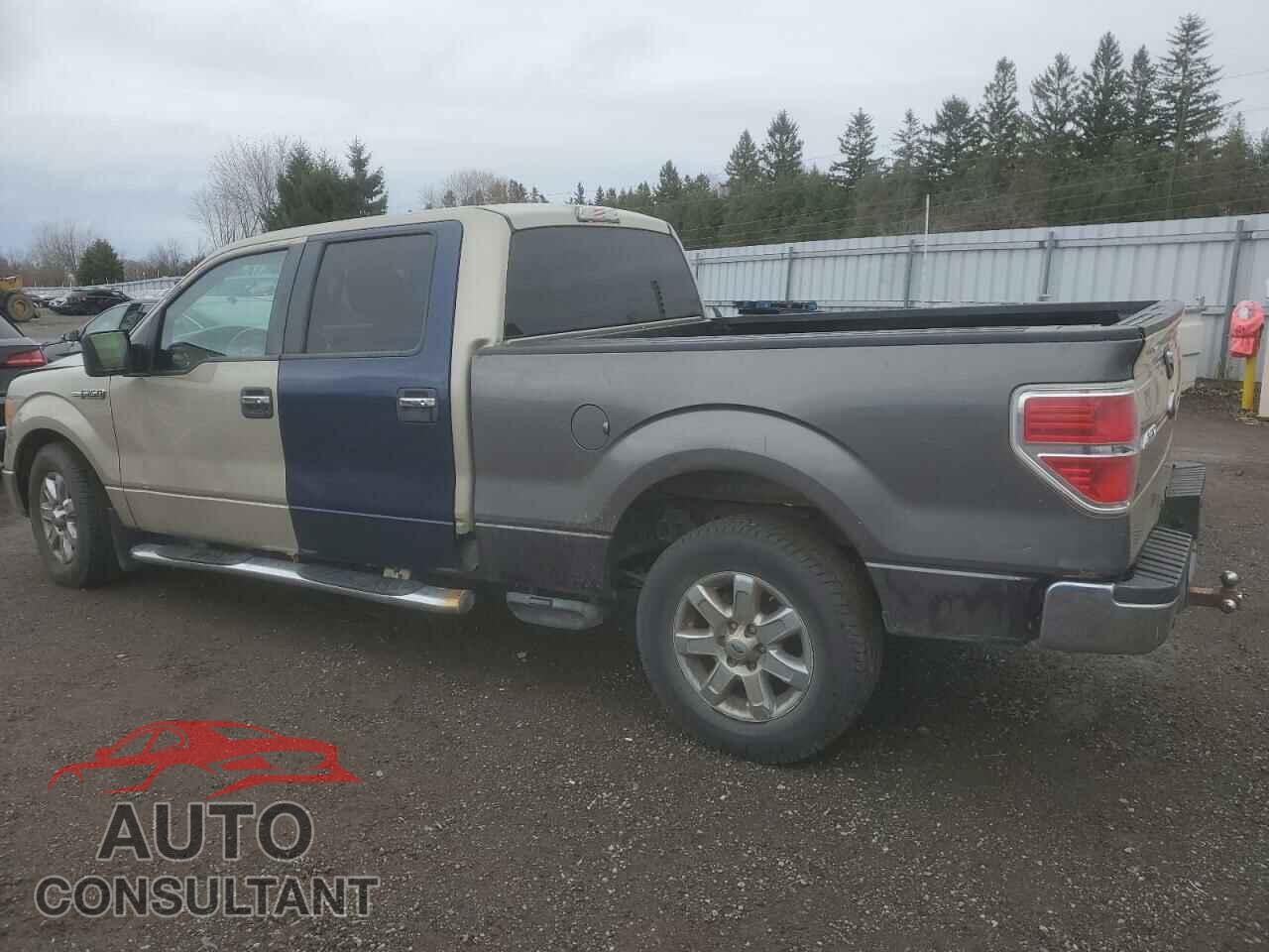 FORD F-150 2009 - 1FTRW14869FA71127