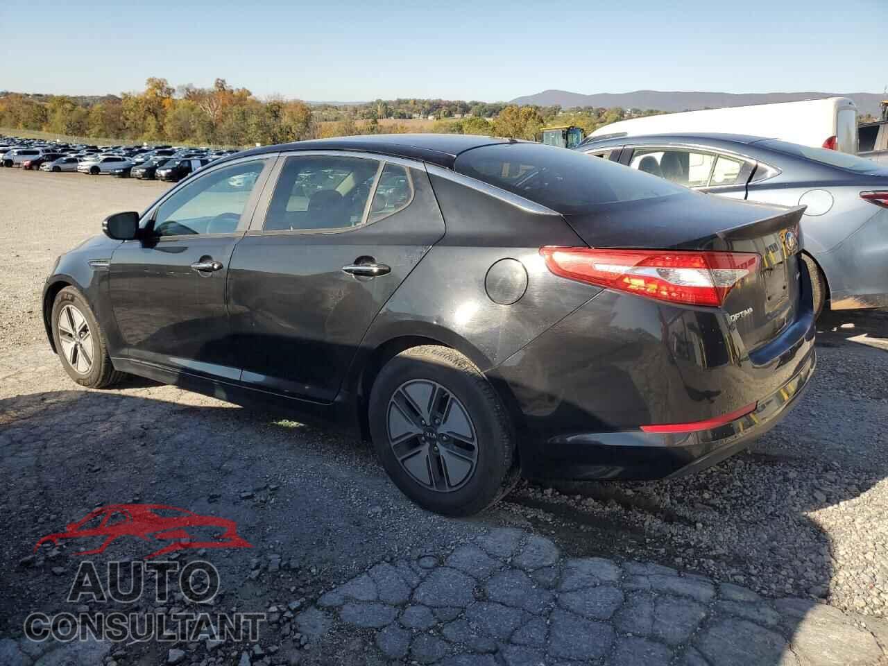 KIA OPTIMA 2011 - KNAGM4AD2B5007868