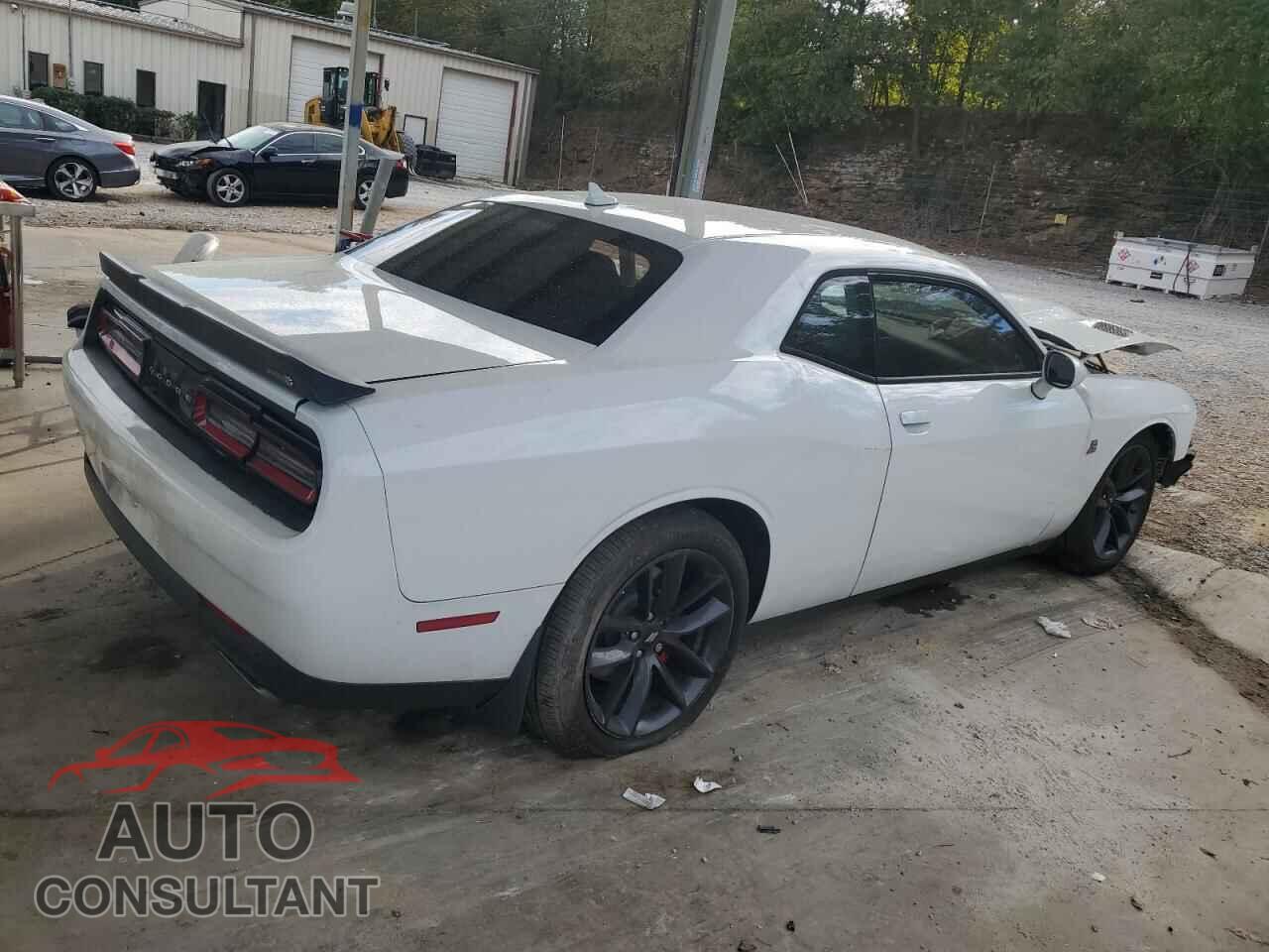 DODGE CHALLENGER 2019 - 2C3CDZFJ0KH618489