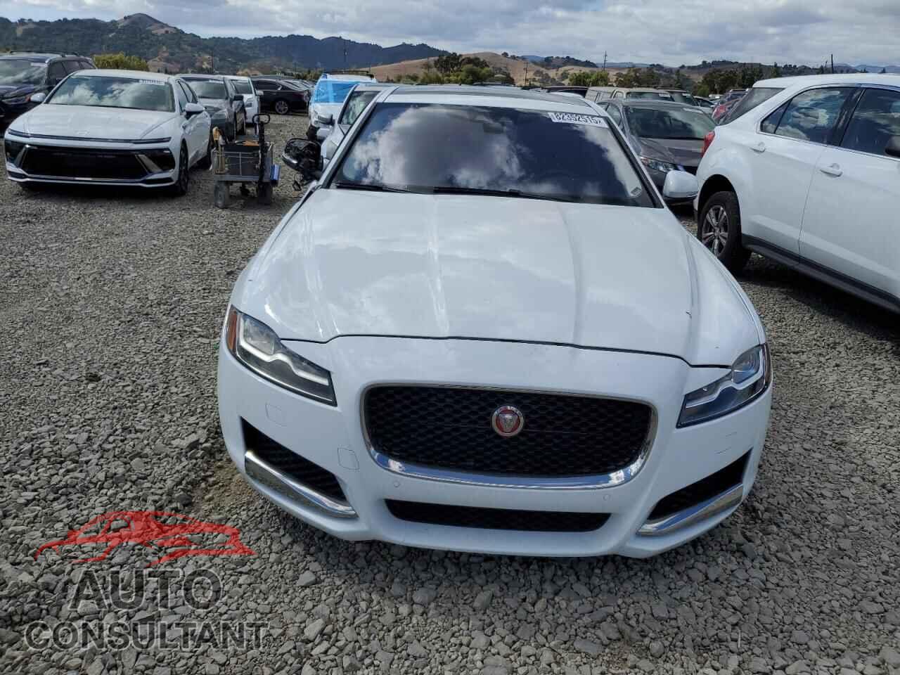 JAGUAR XF 2016 - SAJBE4BV2GCY13957