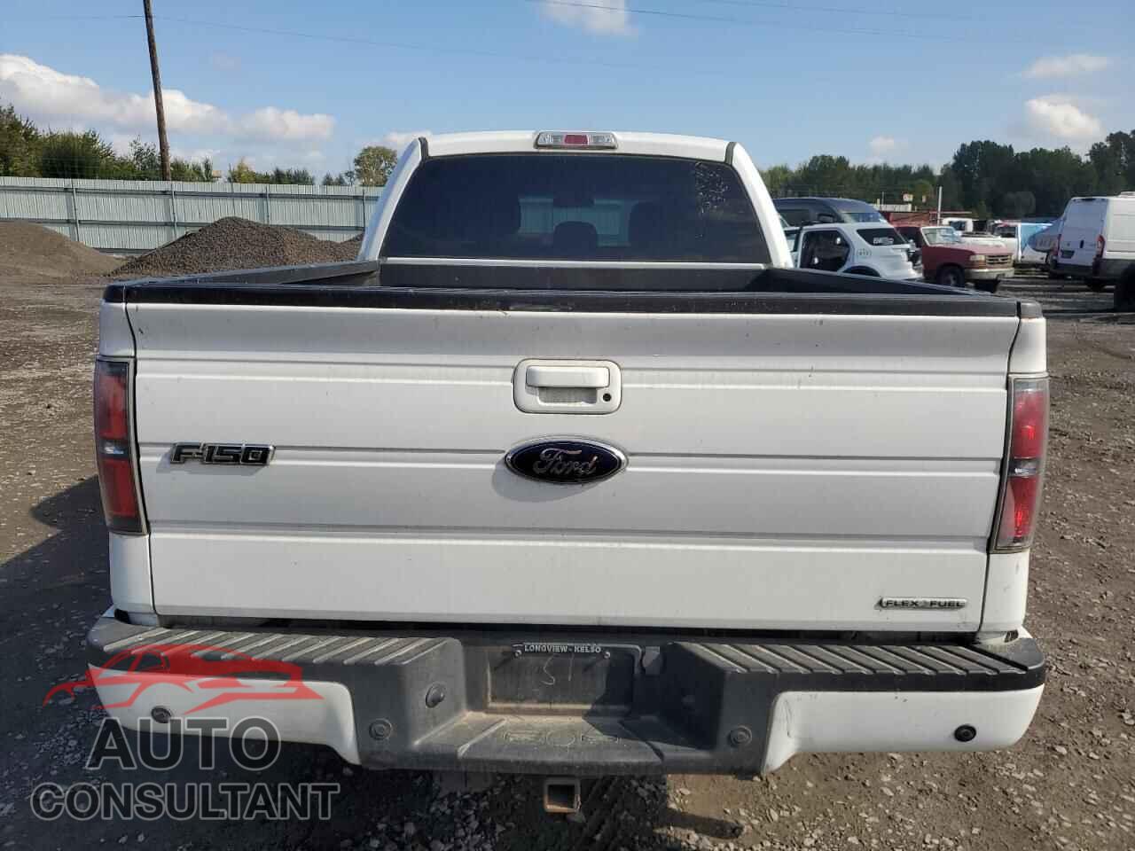 FORD F-150 2013 - 1FTFW1EF5DFA95055