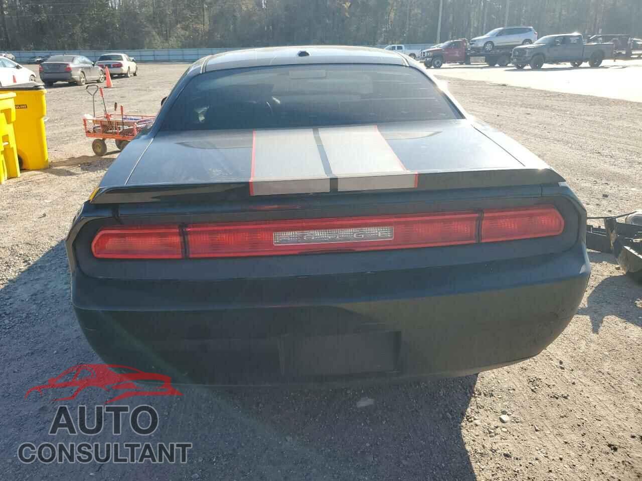 DODGE CHALLENGER 2010 - 2B3CJ4DV1AH180109