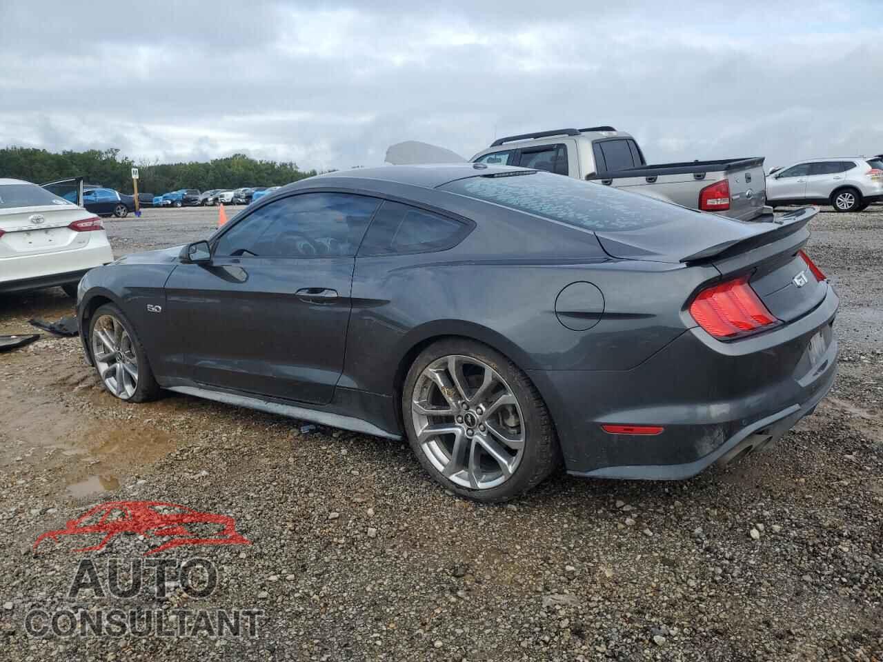 FORD MUSTANG 2019 - 1FA6P8CF0K5192455