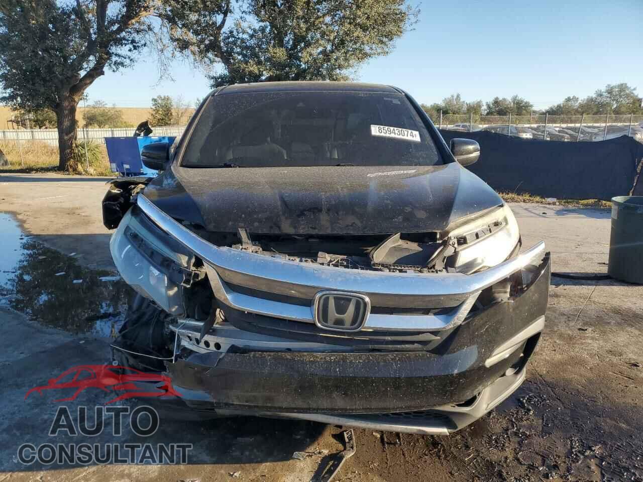 HONDA PILOT 2019 - 5FNYF5H52KB042172