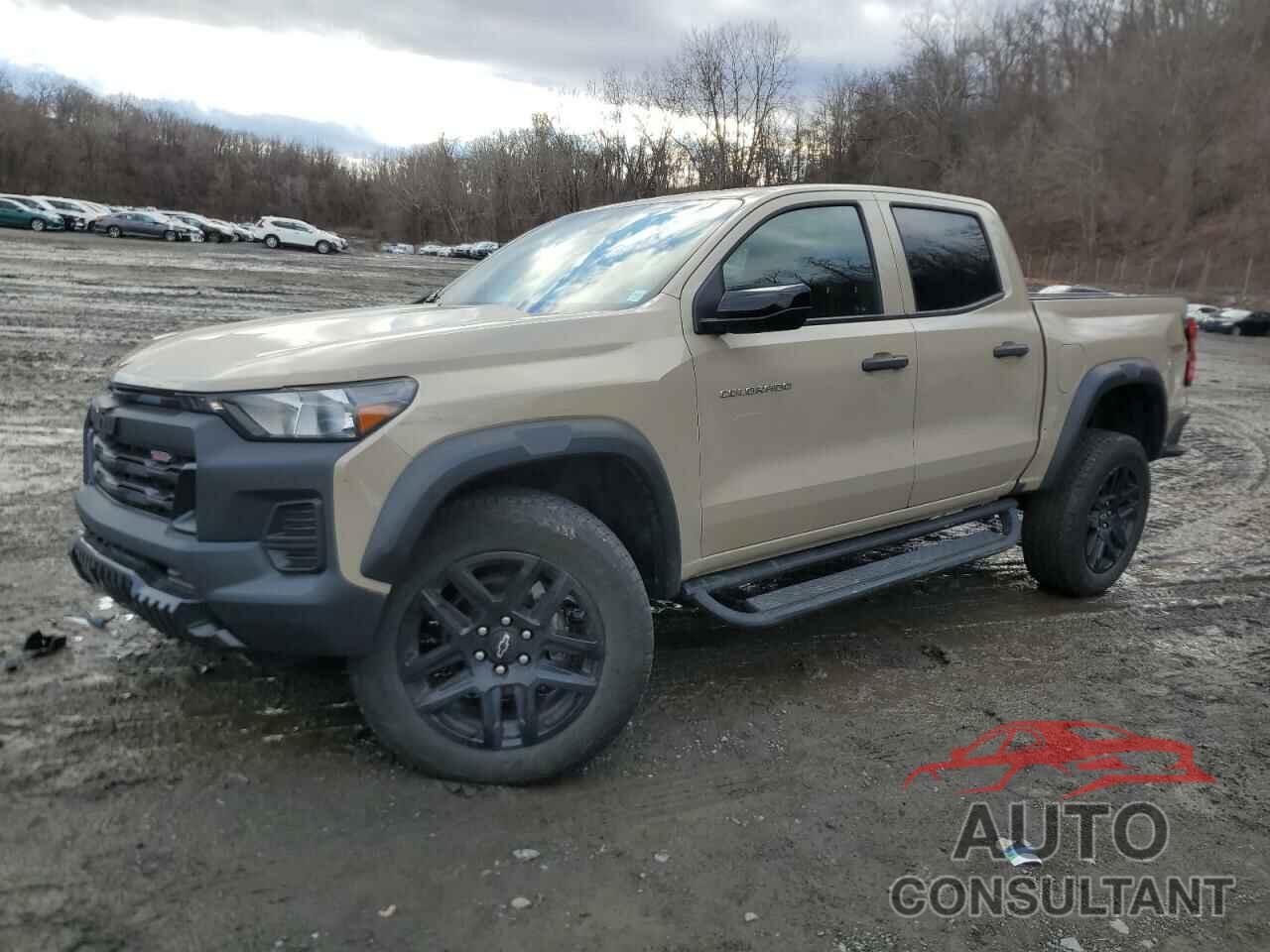 CHEVROLET COLORADO T 2023 - 1GCPTEEK5P1163003