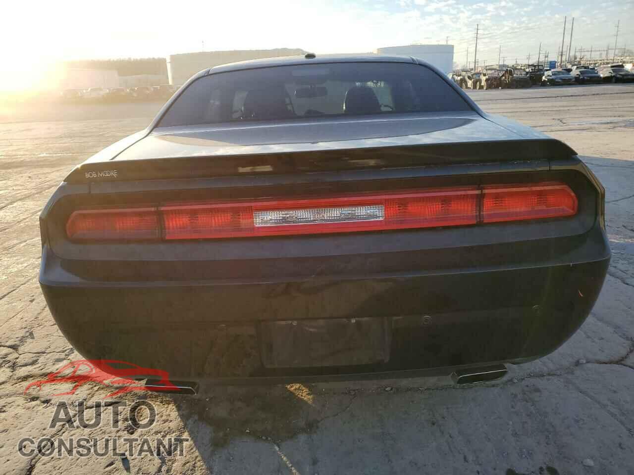 DODGE CHALLENGER 2013 - 2C3CDYBT2DH570207