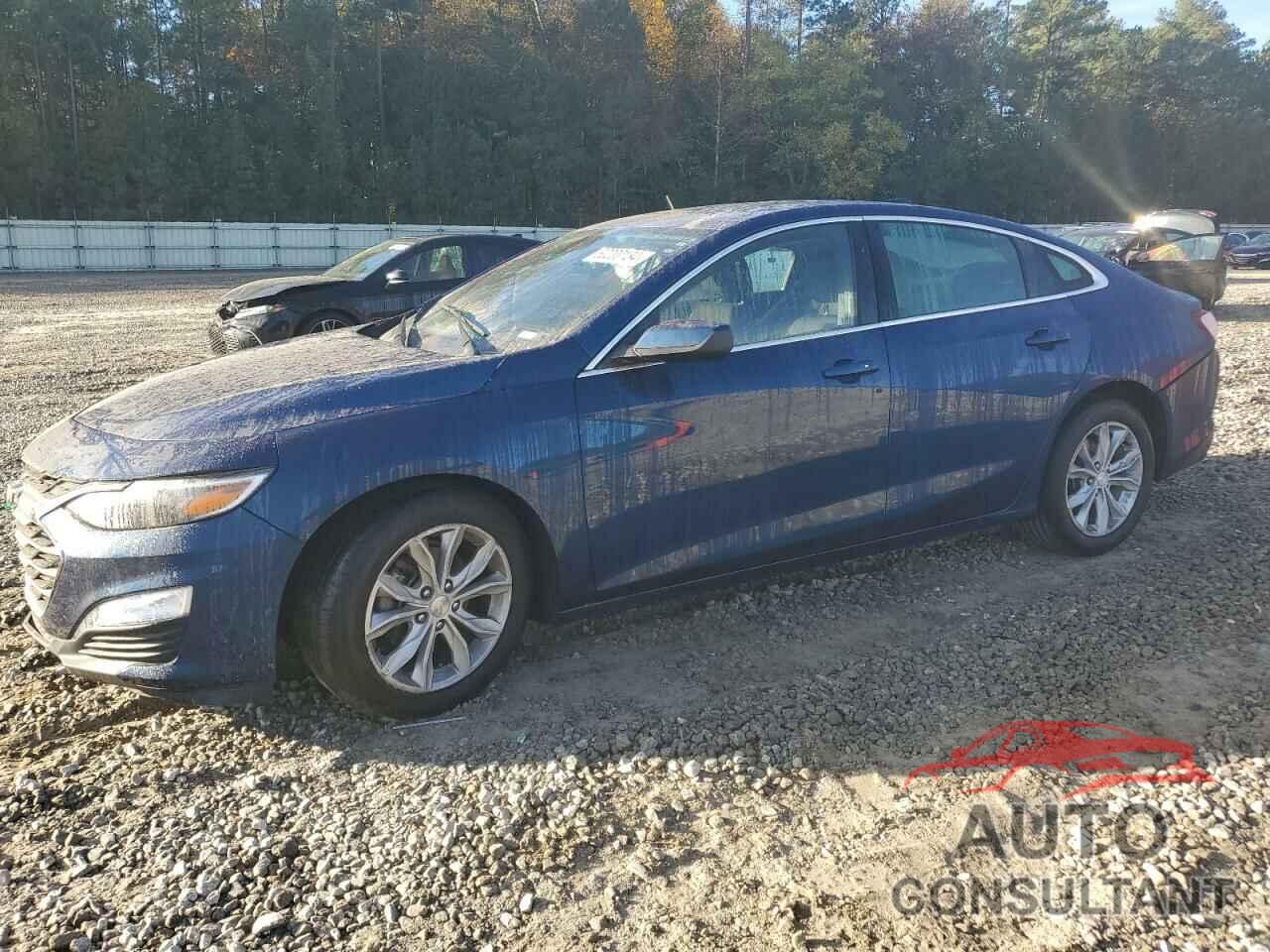 CHEVROLET MALIBU 2019 - 1G1ZD5ST3KF111781