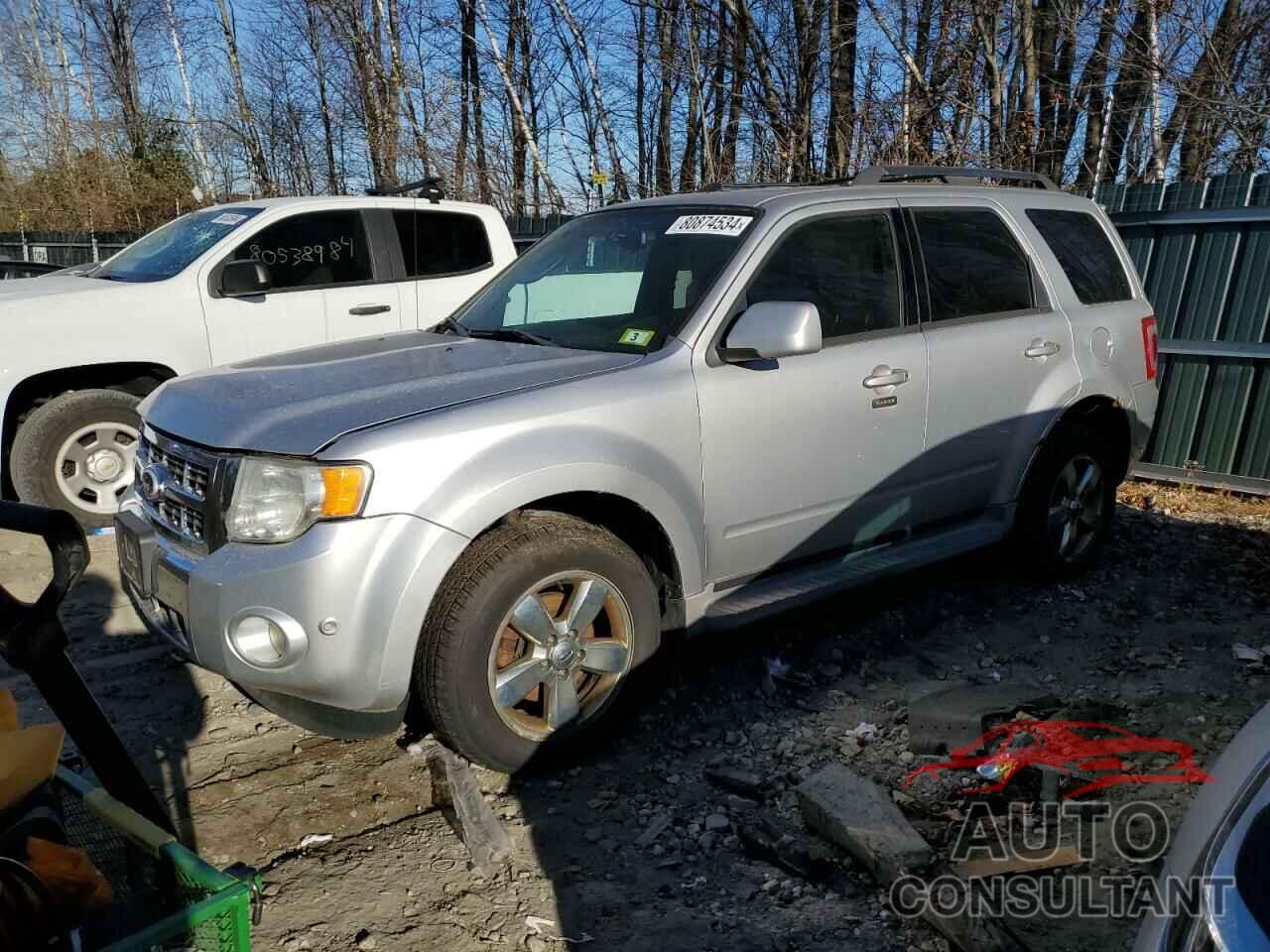 FORD ESCAPE 2011 - 1FMCU9EG7BKA11821