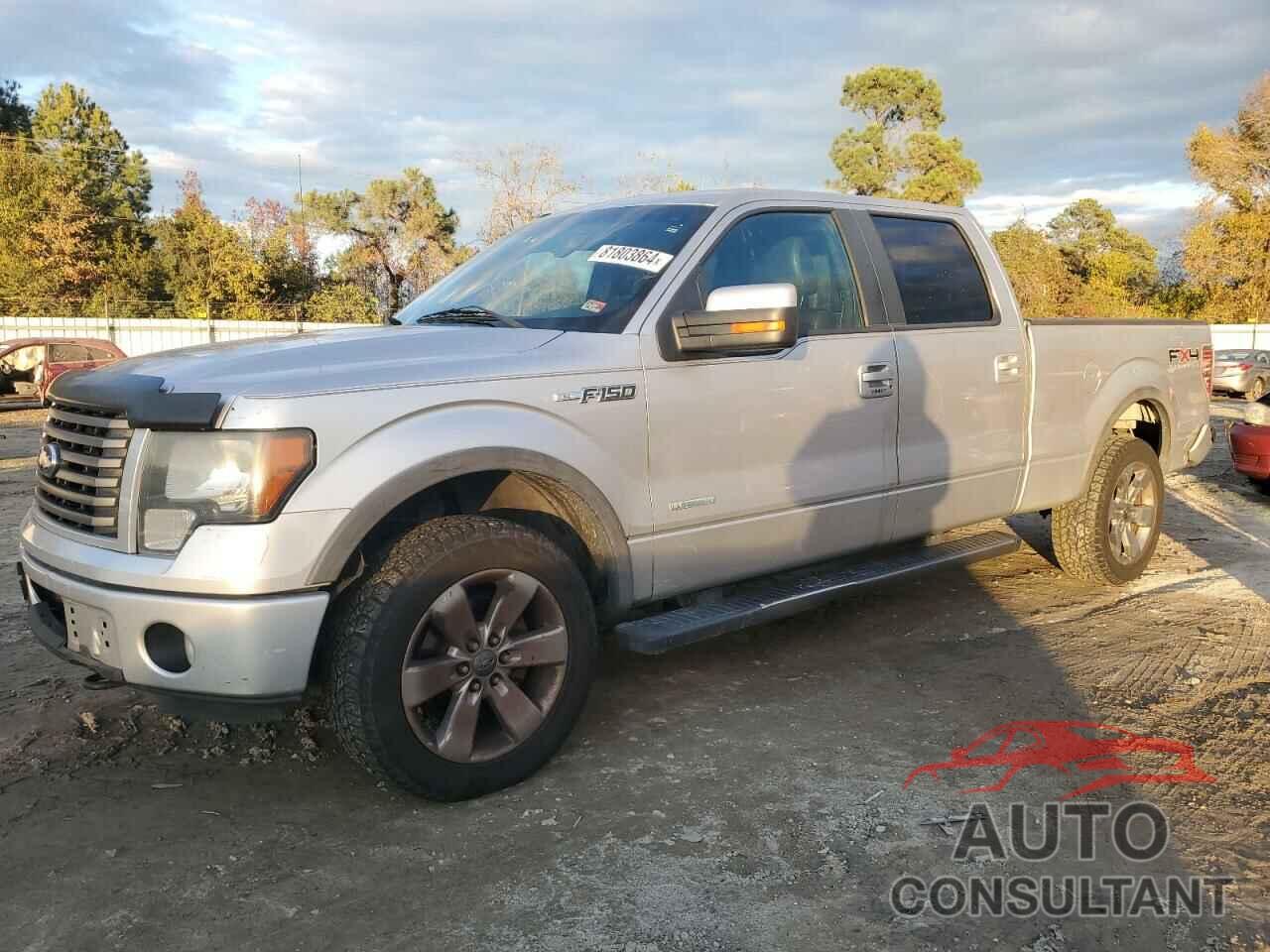 FORD F-150 2011 - 1FTFW1ET6BFC37786