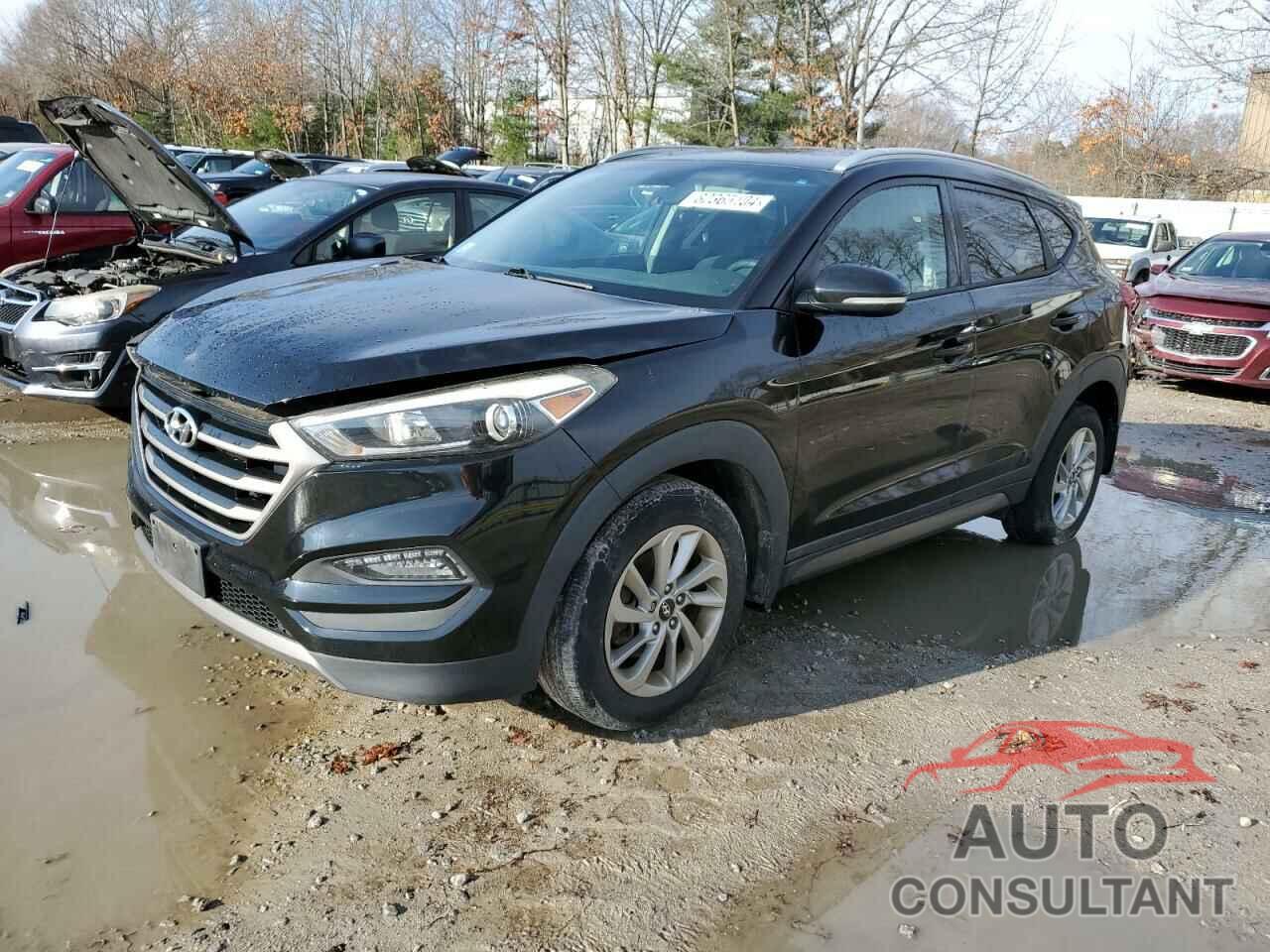 HYUNDAI TUCSON 2016 - KM8J3CA23GU051293