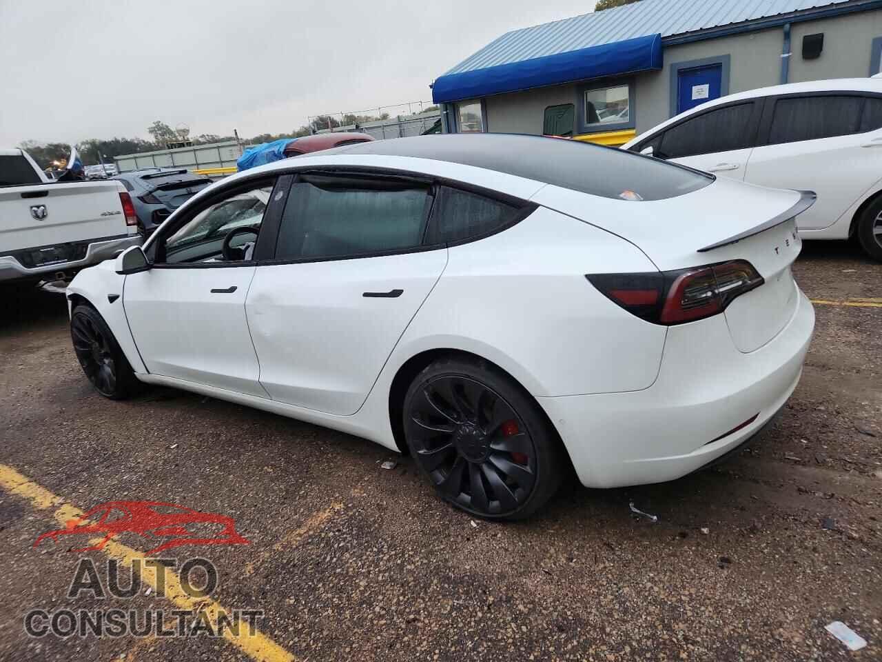 TESLA MODEL 3 2021 - 5YJ3E1EC8MF856435