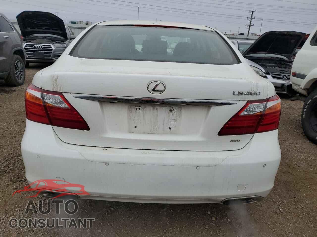 LEXUS LS460 2011 - JTHCL5EF2B5010631