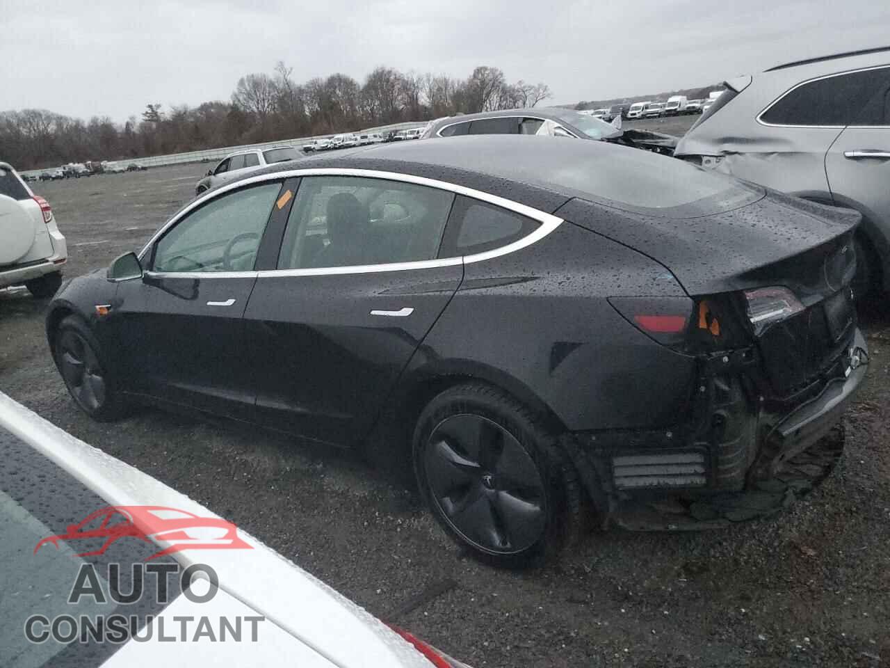 TESLA MODEL 3 2019 - 5YJ3E1EB3KF198981