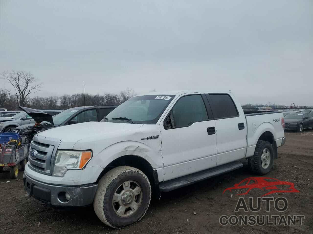 FORD F-150 2011 - 1FTFW1EF5BKD97739