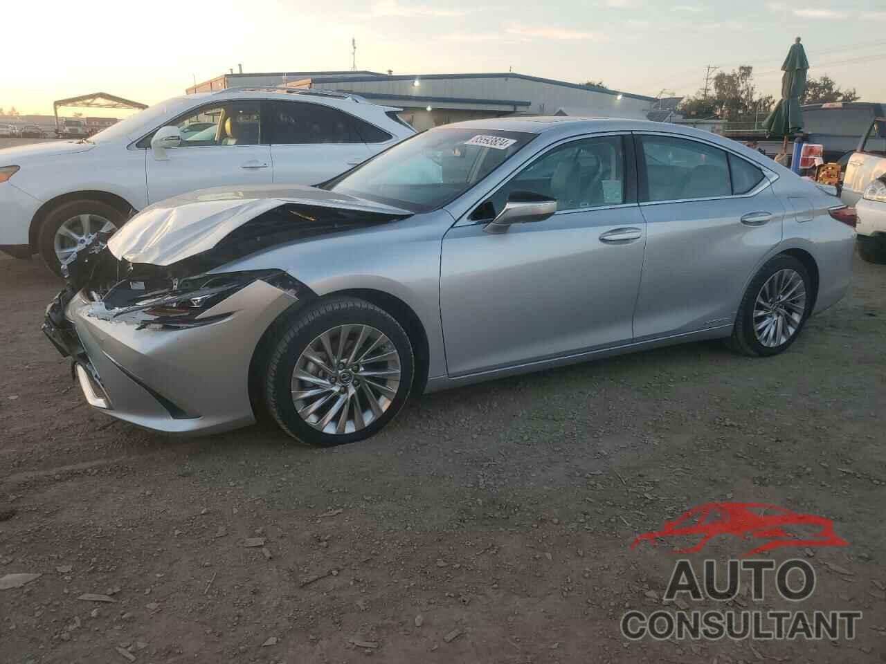 LEXUS ES300 2020 - 58AE21B1XLU012217