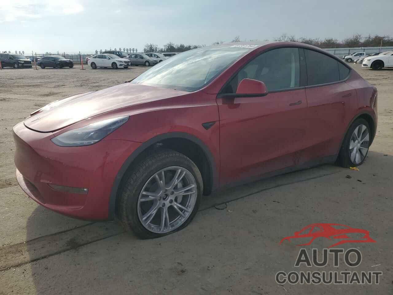 TESLA MODEL Y 2024 - 7SAYGAEE8RF081789