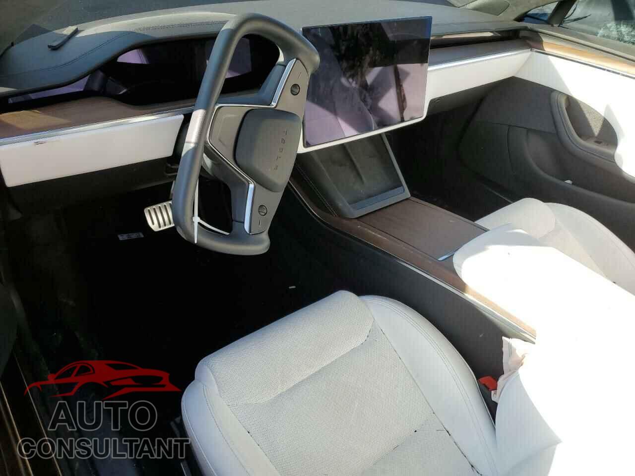 TESLA MODEL S 2023 - 5YJSA1E52PF499802