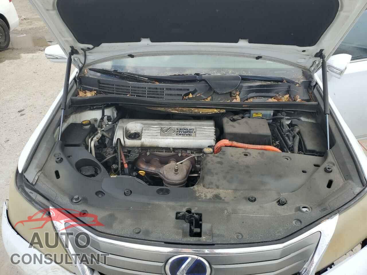 LEXUS HS 2010 - JTHBB1BAXA2007265