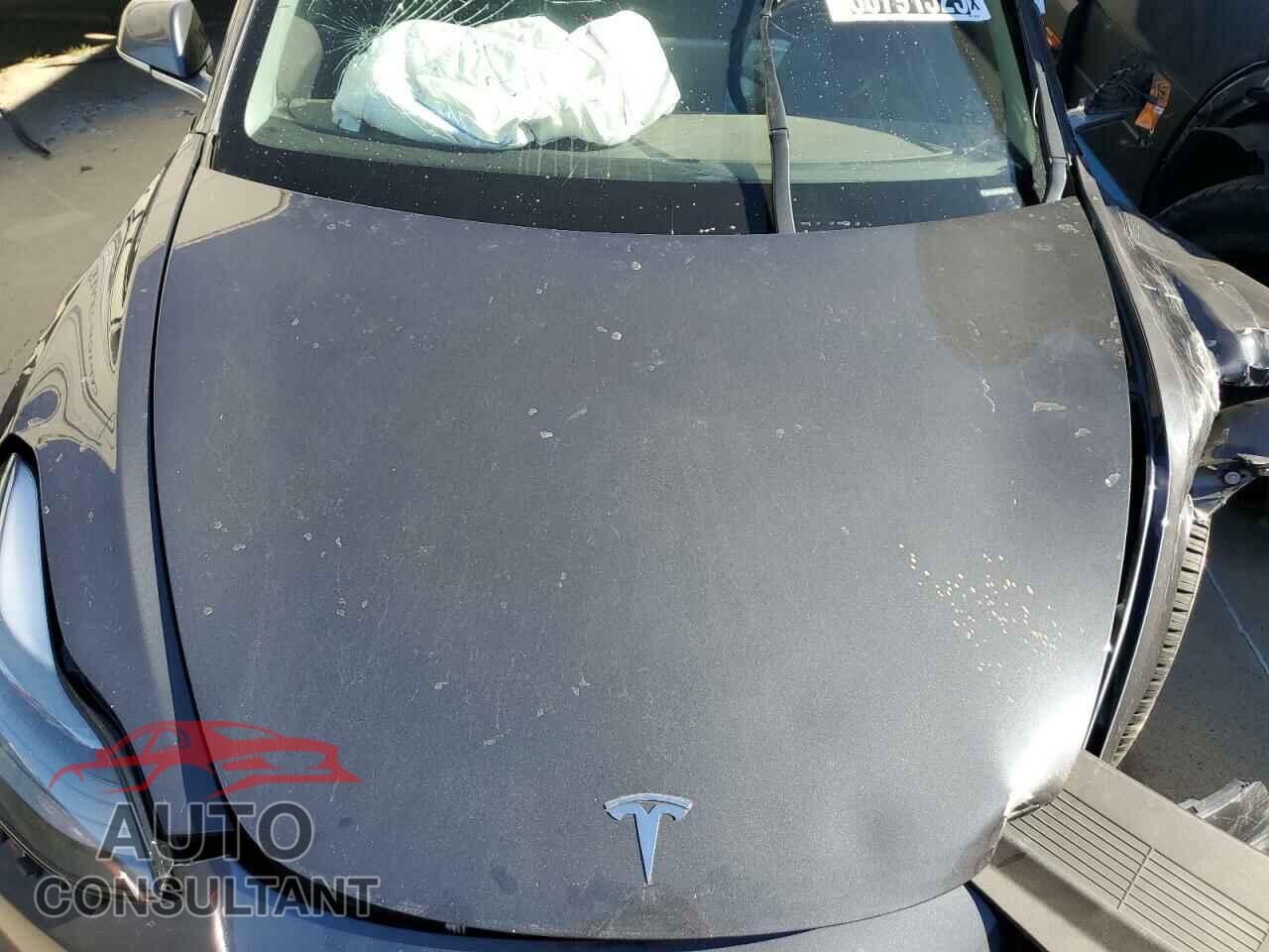 TESLA MODEL 3 2019 - 5YJ3E1EA6KF307652