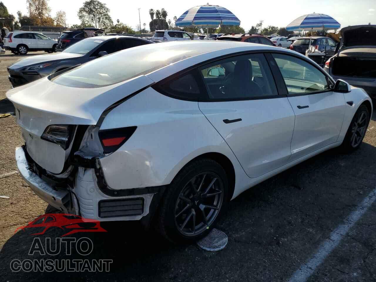 TESLA MODEL 3 2021 - 5YJ3E1EA8MF029615