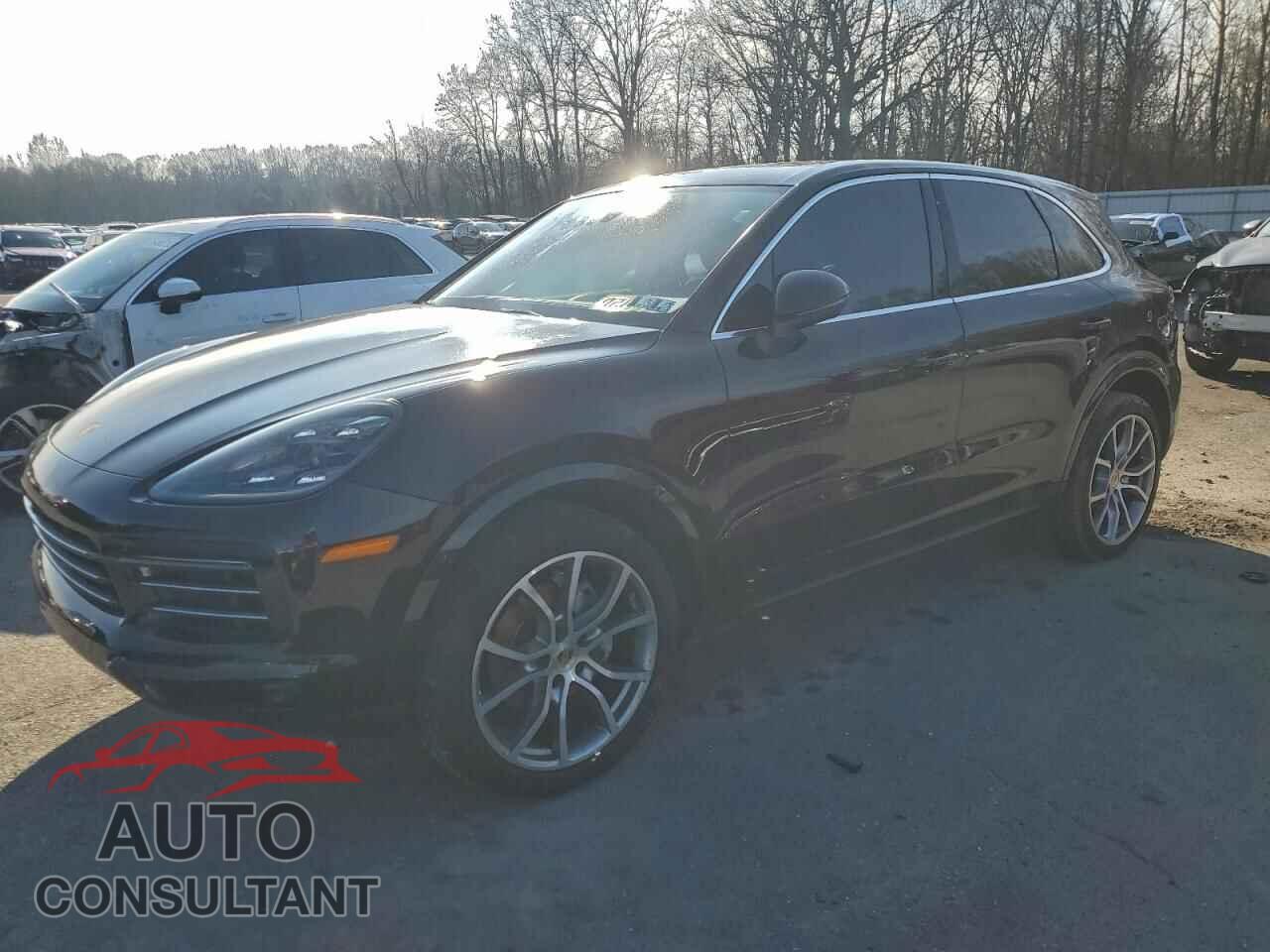 PORSCHE CAYENNE 2020 - WP1AA2AY2LDA04192
