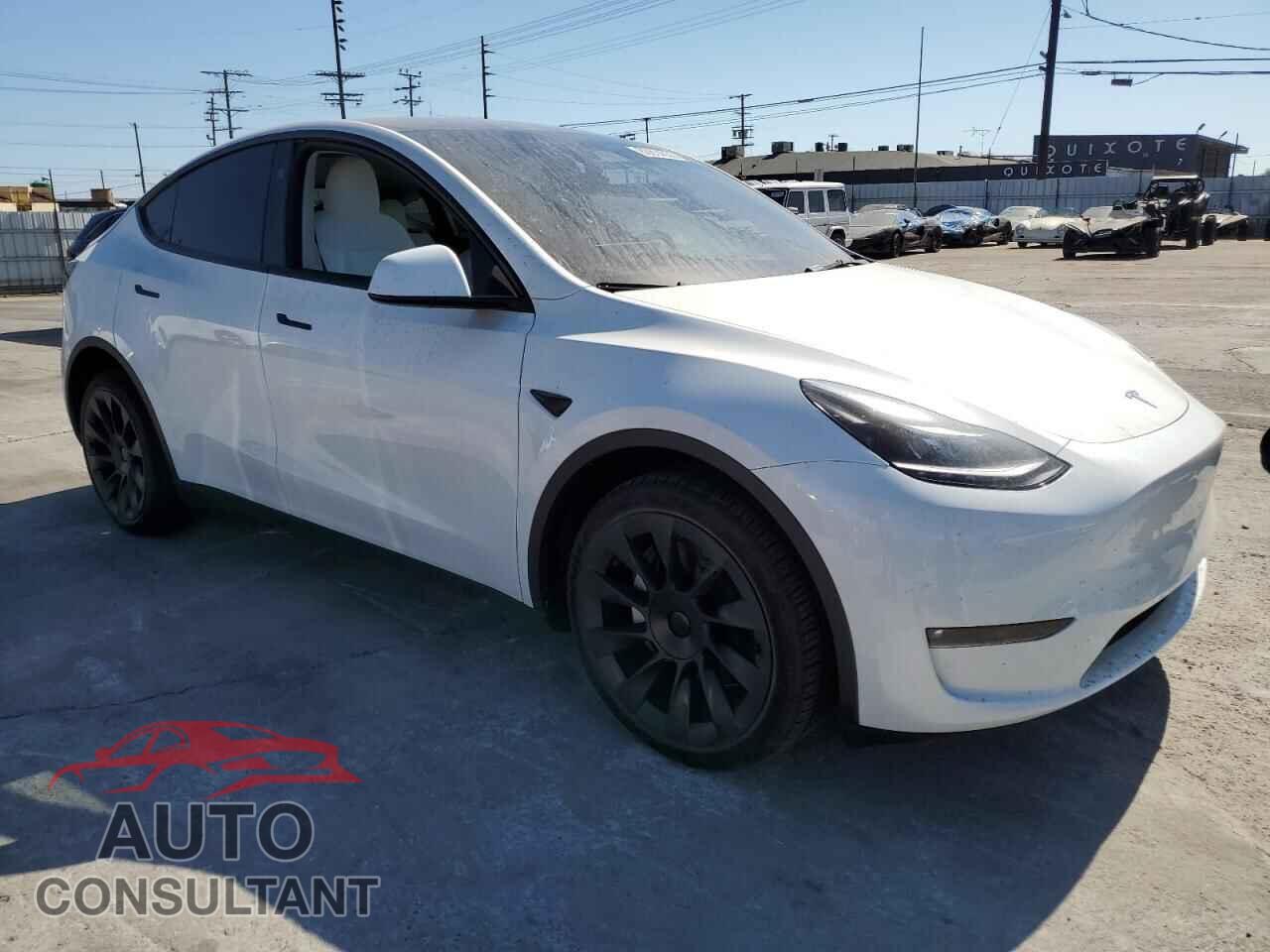 TESLA MODEL Y 2024 - 7SAYGDEE0RF150556