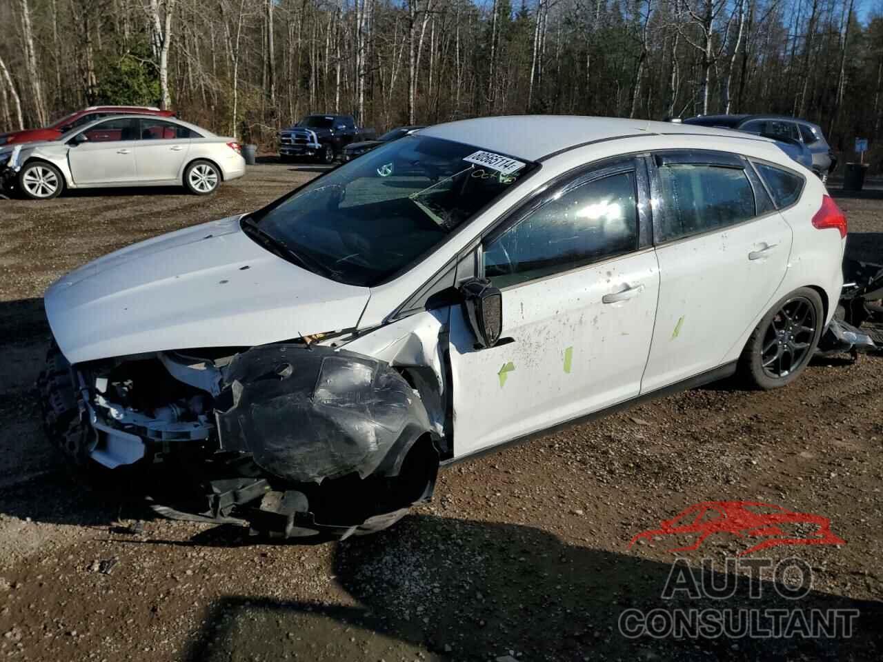 FORD FOCUS 2016 - 1FADP3K26GL381011