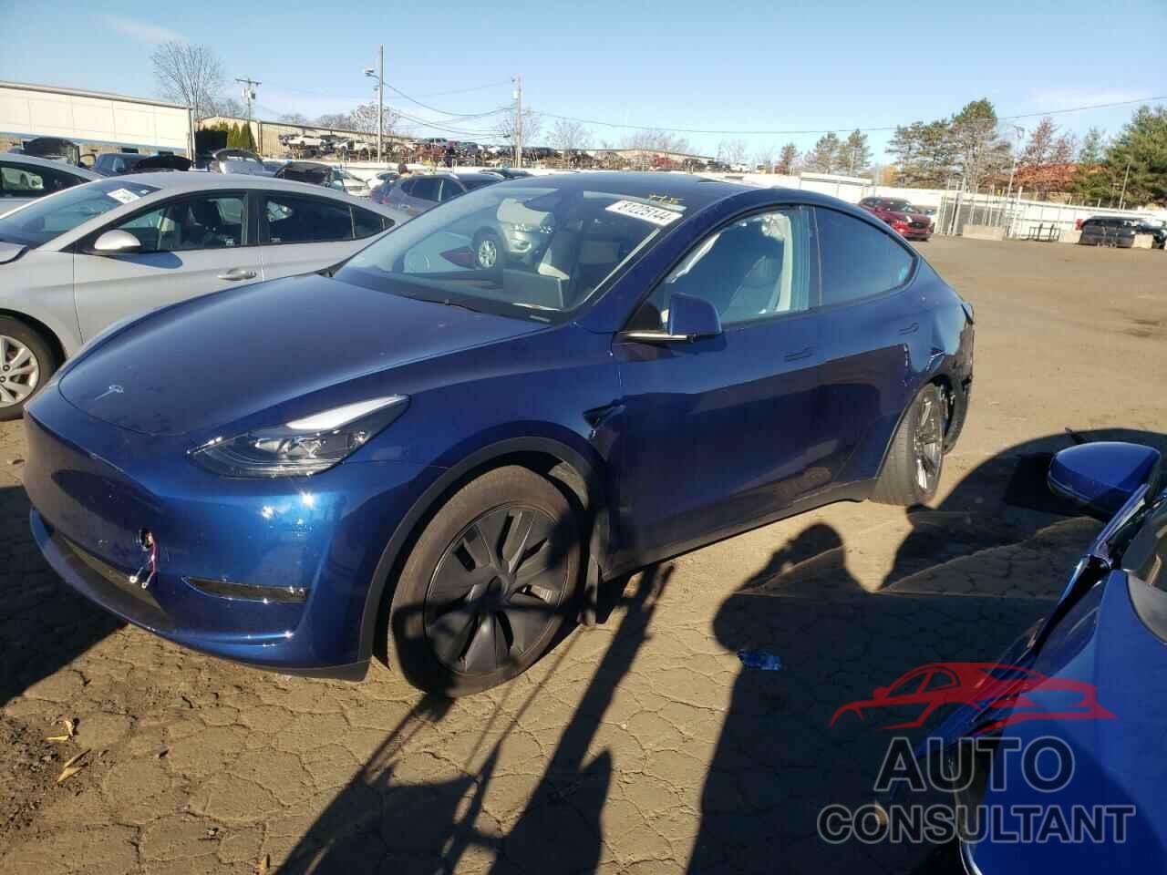 TESLA MODEL Y 2024 - 7SAYGDEE0RA320055