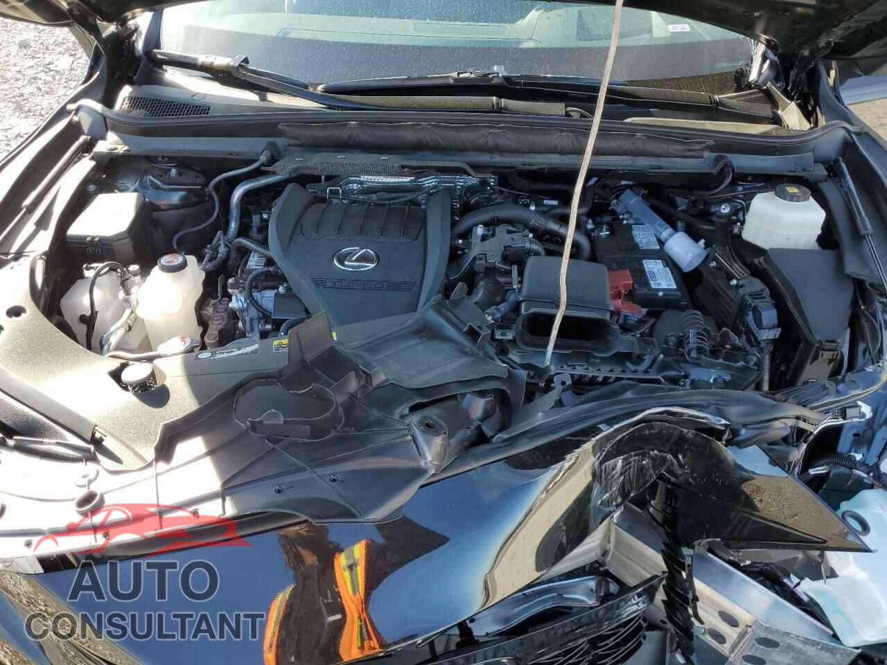LEXUS RX350 2023 - 2T2BAMCA4PC012410