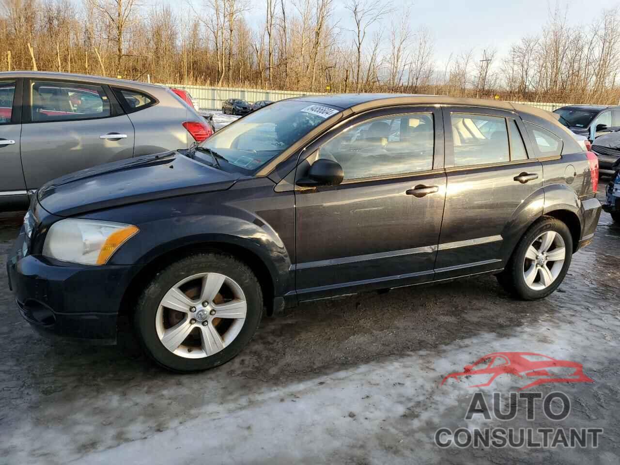 DODGE CALIBER 2010 - 1B3CB3HAXAD648284