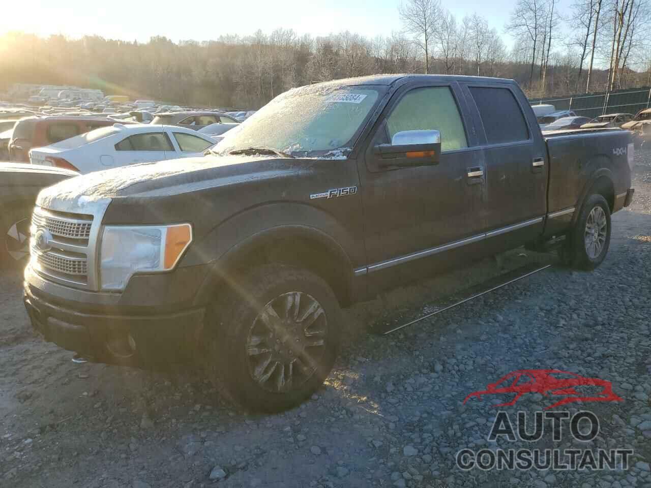 FORD F-150 2010 - 1FTFW1EV2AFB44117