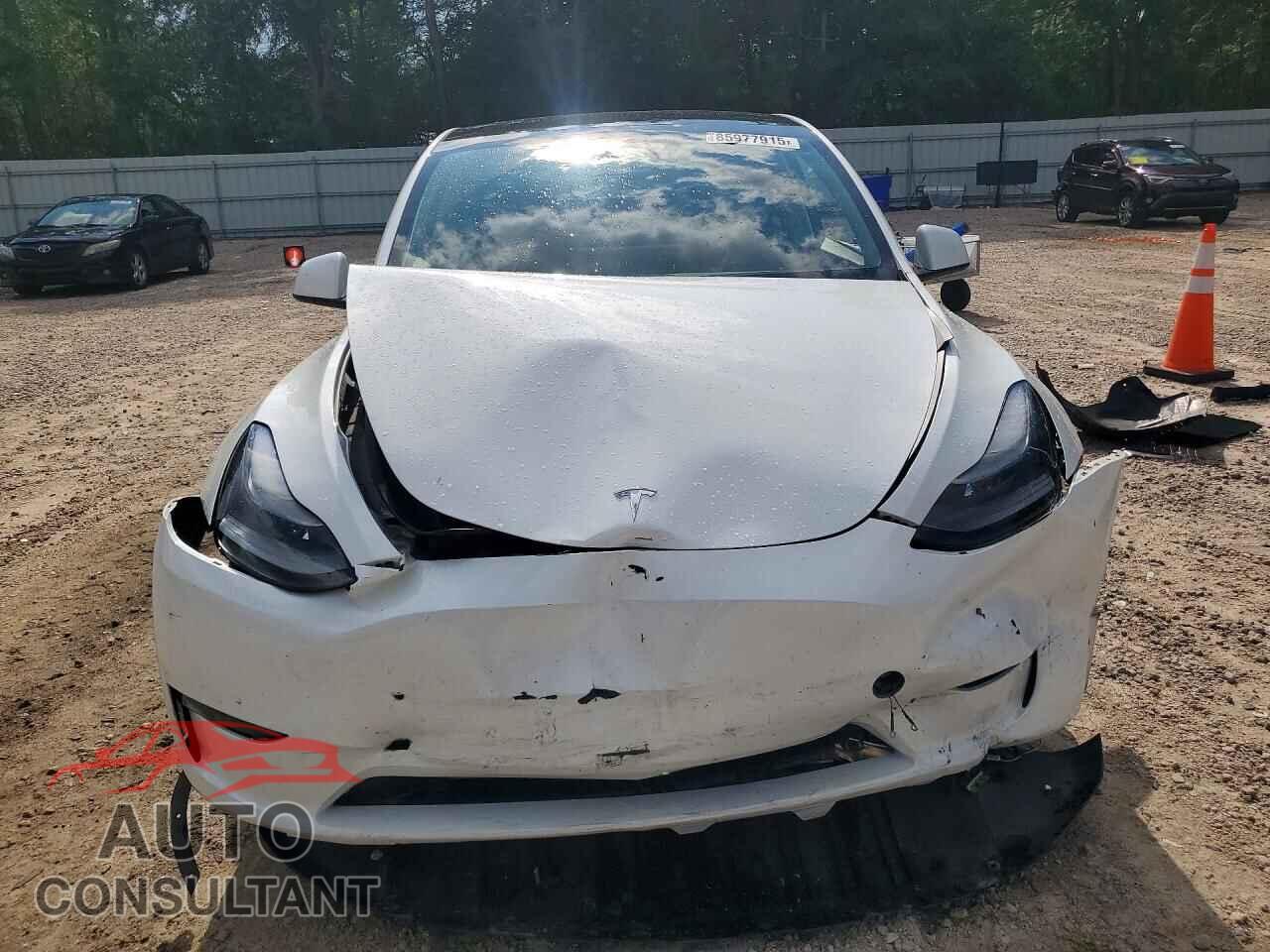 TESLA MODEL Y 2023 - 7SAYGDEEXPF759134