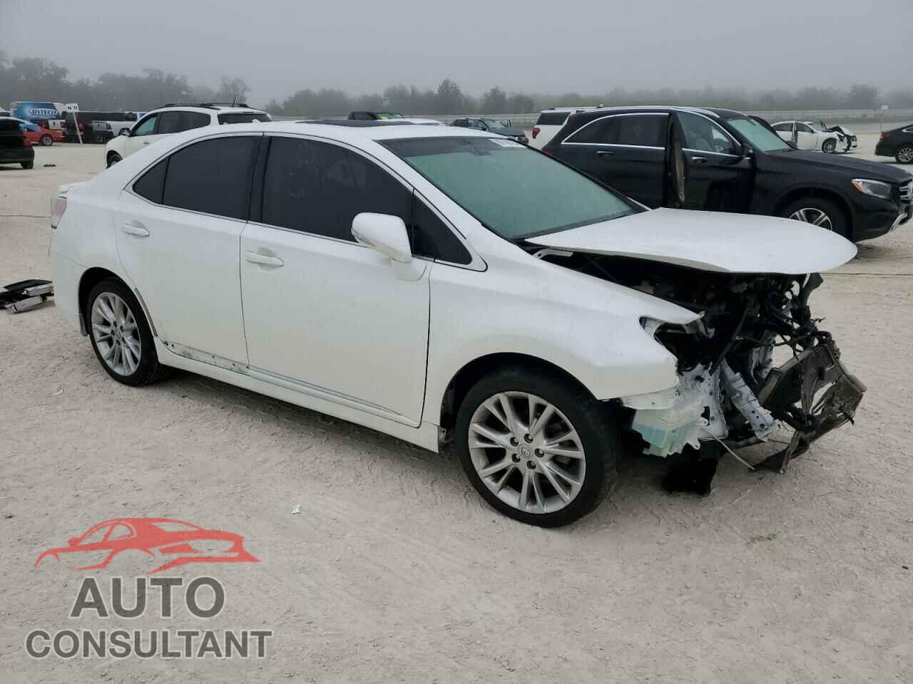 LEXUS HS 2010 - JTHBB1BA8A2020371