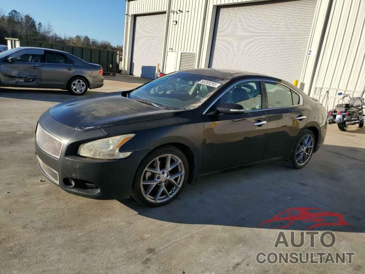 NISSAN MAXIMA 2010 - 1N4AA5AP0AC849545