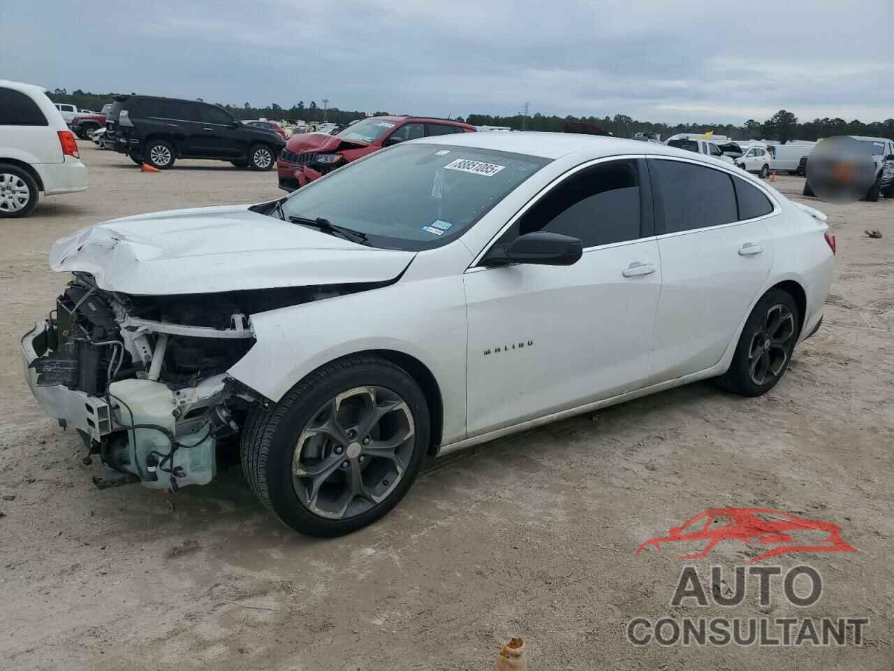 CHEVROLET MALIBU 2019 - 1G1ZG5ST6KF207539