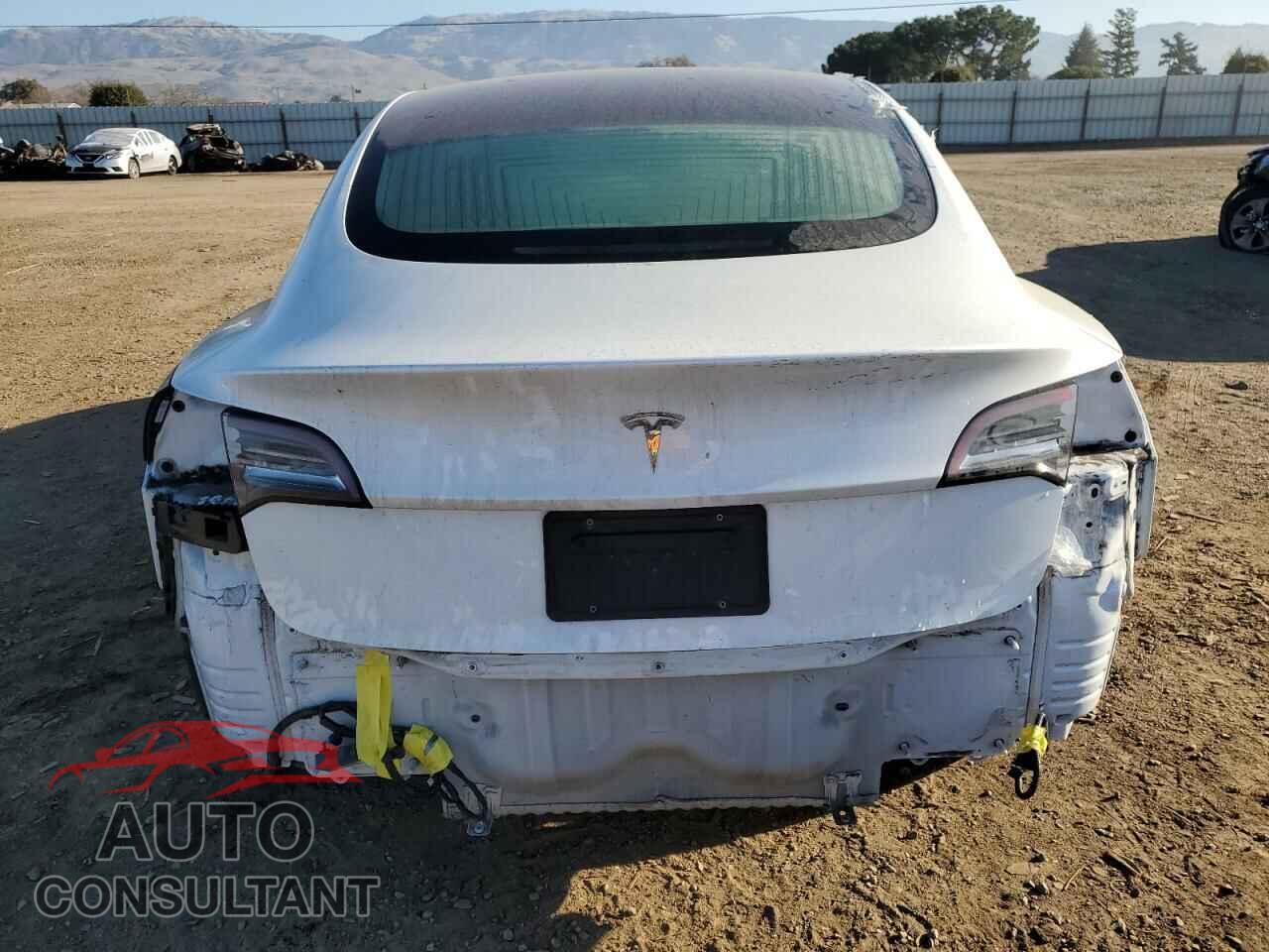 TESLA MODEL 3 2019 - 5YJ3E1EA1KF466689