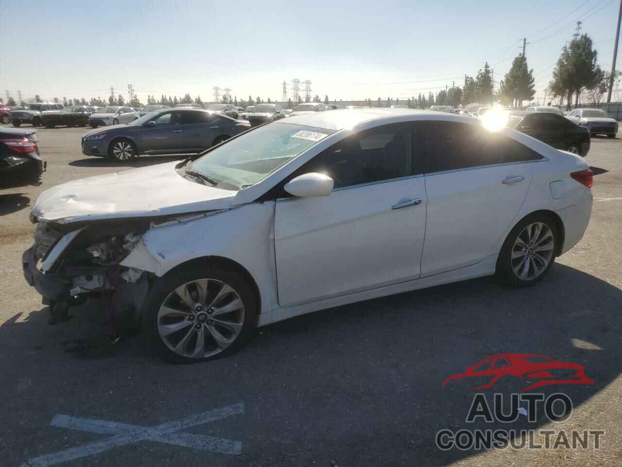 HYUNDAI SONATA 2013 - 5NPEC4ACXDH674517