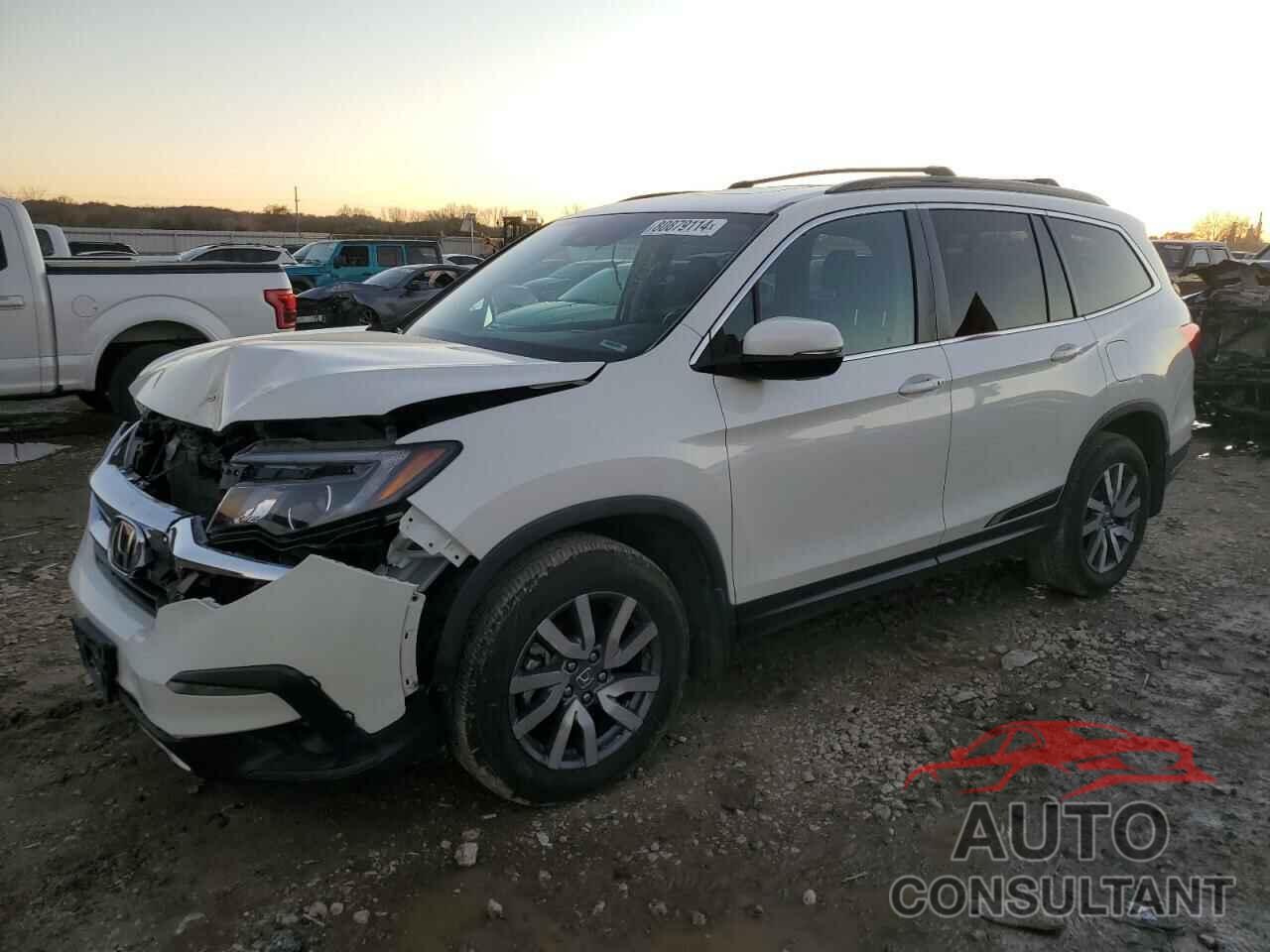 HONDA PILOT 2019 - 5FNYF6H58KB040304