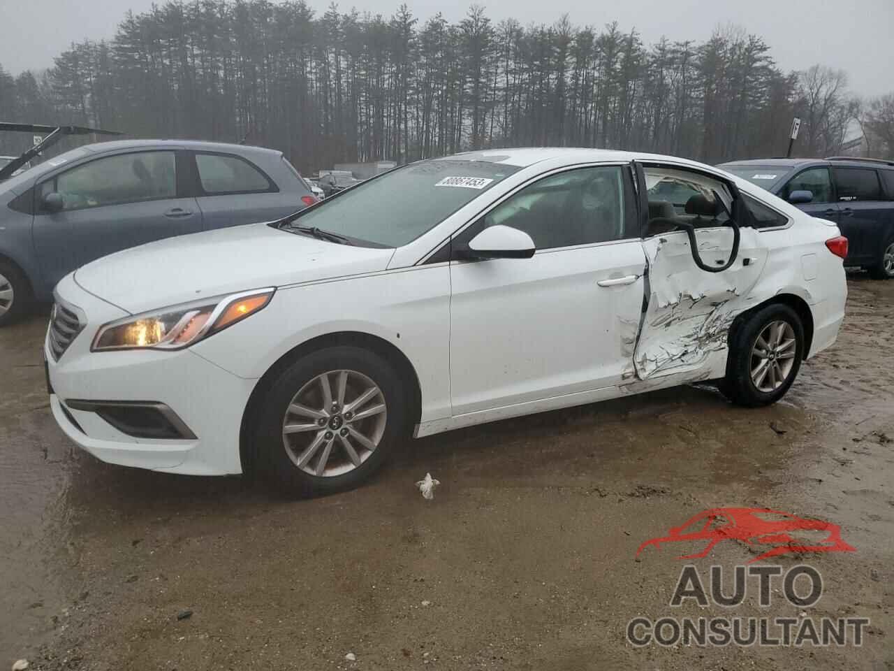 HYUNDAI SONATA 2016 - 5NPE24AF7GH314588