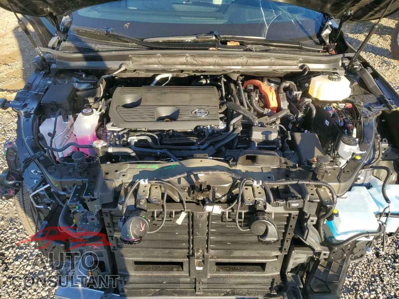LEXUS RX 350H BA 2024 - 2T2BBMCA9RC049422